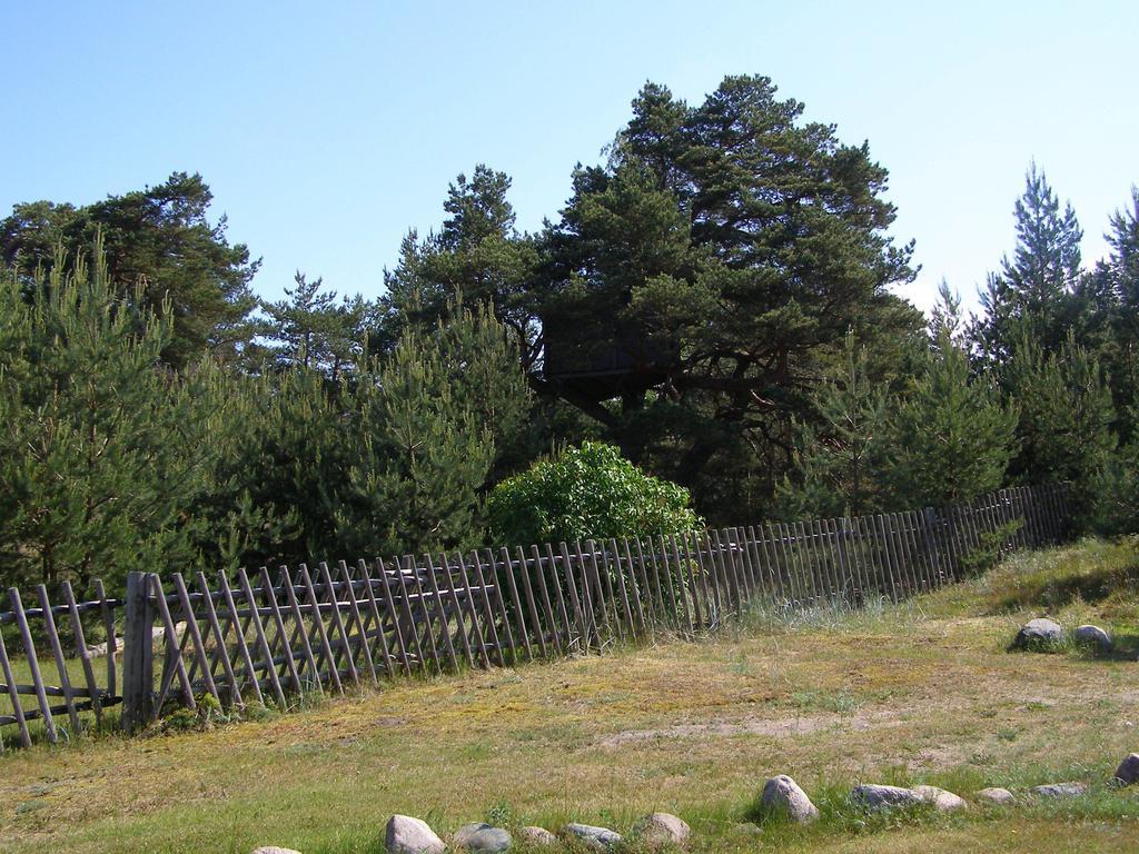 Treimani Puhkemaja Villa Room photo